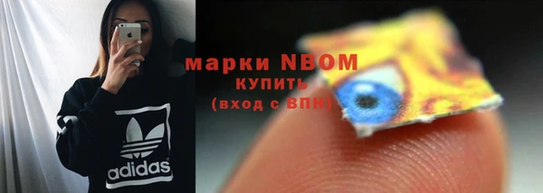 apvp Алзамай