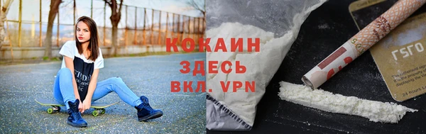 твердый Сатка