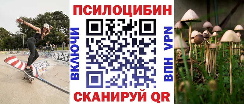 блэк спрут ТОР  Андреаполь  Псилоцибиновые грибы мухоморы 