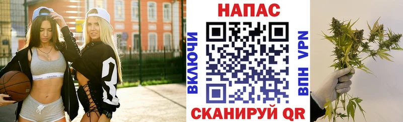 Канабис Bruce Banner Андреаполь